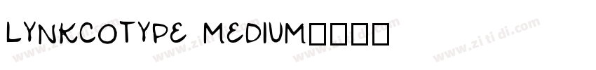LynkcoType Medium字体转换